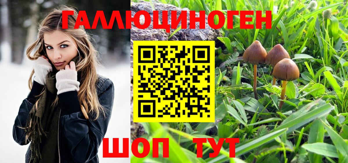Кумертау  Галлюциногенные грибы мицелий  как найти закладки  Вход с VPN 